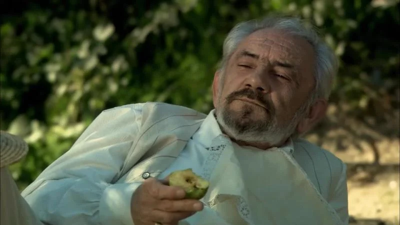 Кадры из сериала Однажды в Одессе / Жизнь и приключения Мишки Япончика (2011)